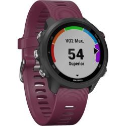 Andorra-Garmin Forerunner 245 Berry