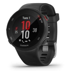 Andorra-Garmin Forerunner 45S Black