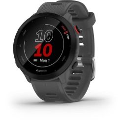 Andorra-Garmin Forerunner 55 Grey