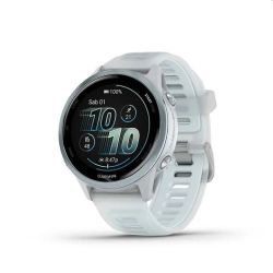 Andorra-Garmin Forerunner 570 Slate Gray Aluminum with Translucent Black/Black Band 42mm