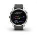 Andorra-Garmin Fenix 7S Standard Edition Silver with Graphite Band 42mm