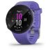Andorra-Garmin Forerunner 45S Iris