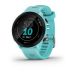 Andorra-Garmin Forerunner 55 Aqua