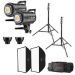 Andorra-Godox SL-60W Daylight LED Video Kit Duo