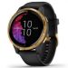 Andorra-Garmin Venu Gold Stainless Steel Bezel with Black Case and Silicone Band 43mm